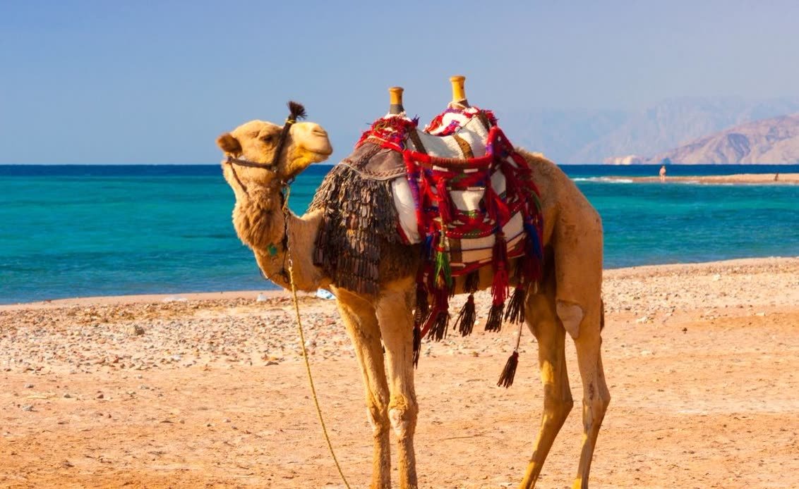 Red Sea beach in Hurghada combined with a Nile cruise holiday
