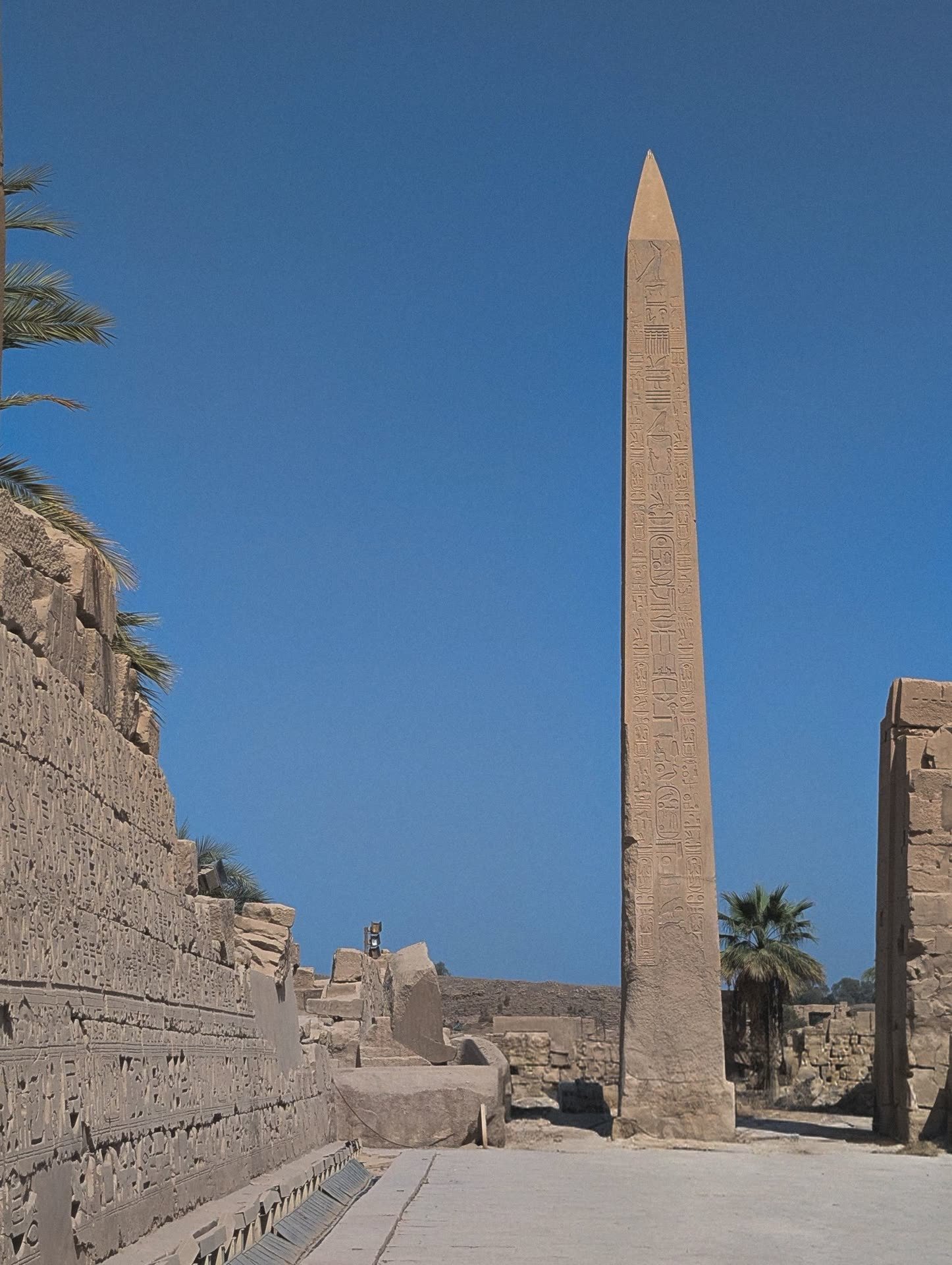 Exclusive private opening at an ancient Egyptian temple